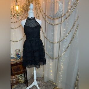 Francesca's Collections Black Halter Mini Ballerina Dress